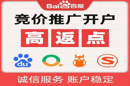 某电商平台的SEM推广实践与效果展示